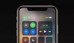 苹果iphone xs的最新爆料,全新爆料揭示设计、性能与功能革新